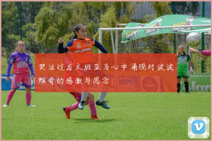 哭泣过后文班亚马心中涌现对波波维奇的感激与思念